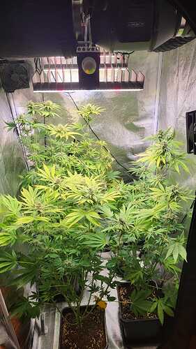 Growreport Bild 5