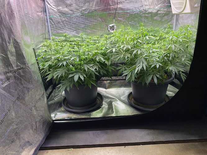 Growreport Bild 42
