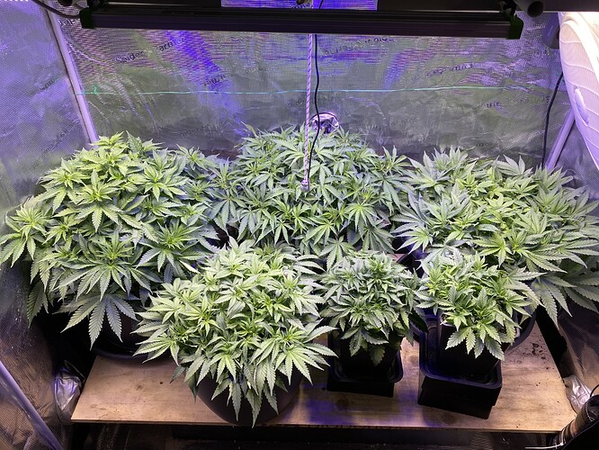 Growreport Bild 5