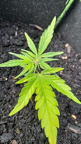 Growreport Bild 19