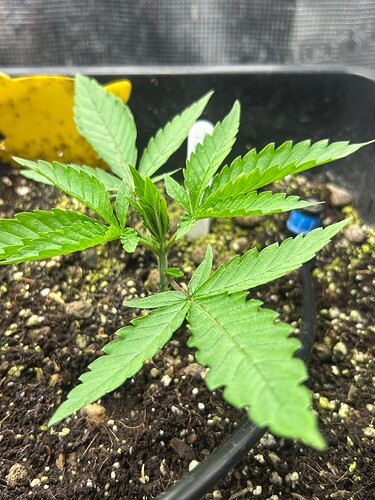 Growreport Bild 19
