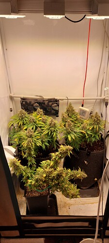 Growreport Bild 5