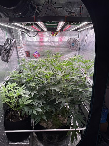 Growreport Bild 28
