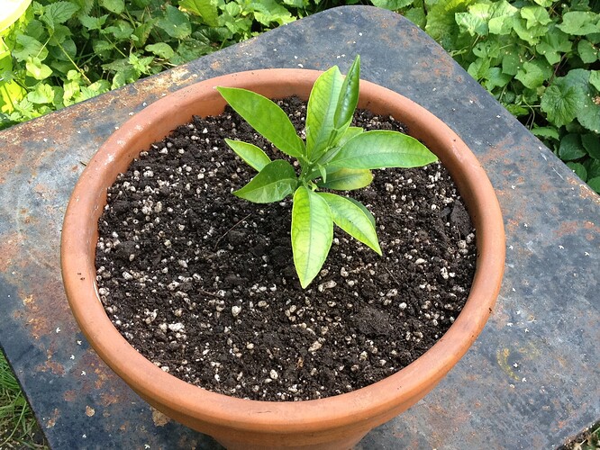 Growreport Bild 39
