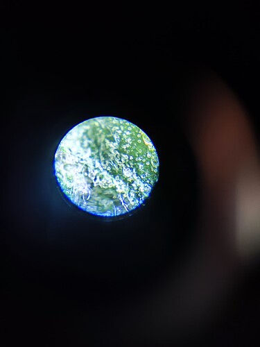 Growreport Bild 8