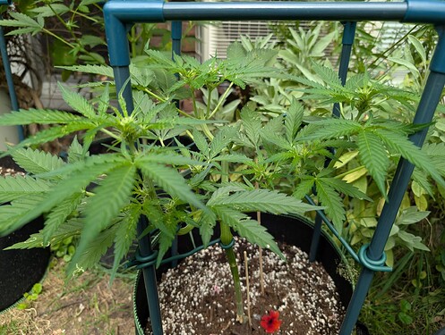 Growreport Bild 11