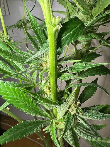Growreport Bild 13