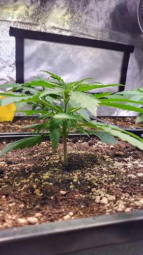 Growreport Bild 8