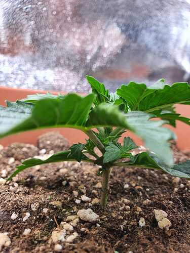 WhatsApp Image 2024-04-26 at 12.03.13 (2)