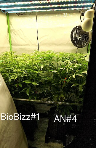 Growreport Bild 18