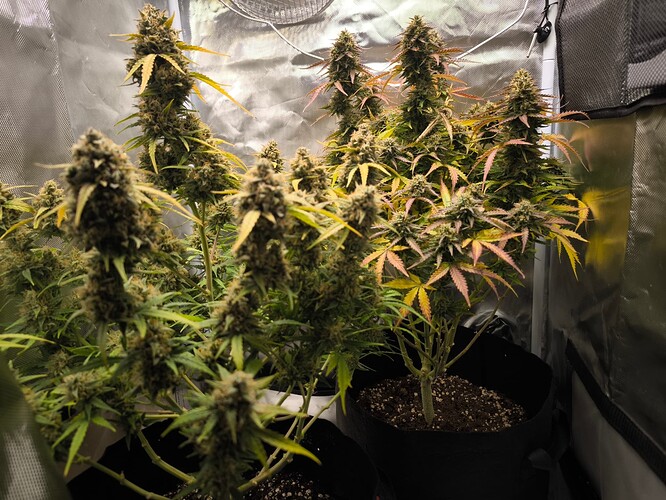 Growreport Bild 9
