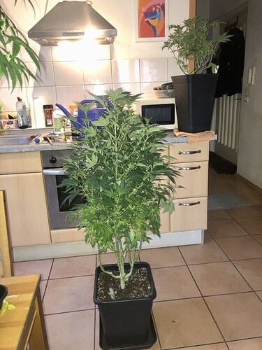 Growreport Bild 15