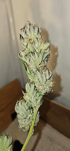 Growreport Bild 21
