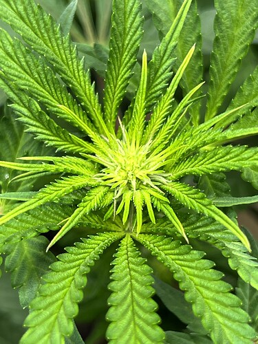 Growreport Bild 6