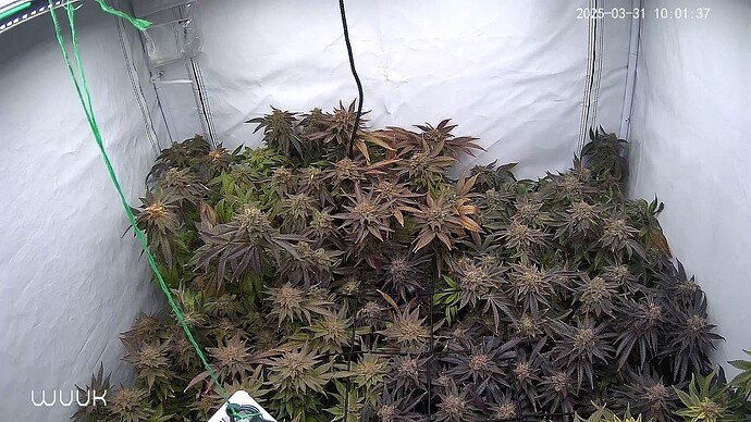 Growreport Bild 1