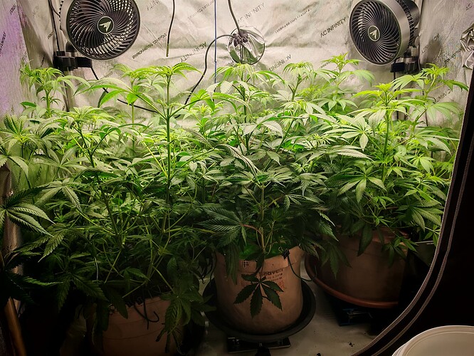 Growreport Bild 3