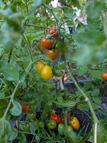 Growreport Bild 18