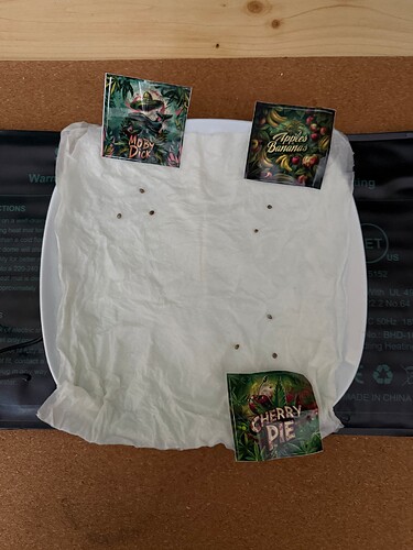 Growreport Bild 6