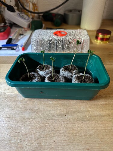 Growreport Bild 28