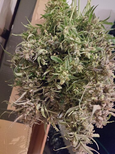 Growreport Bild 17