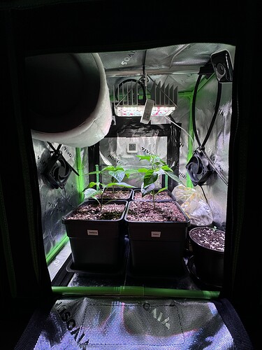 Growreport Bild 7