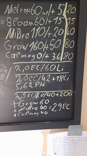 20240814_154109