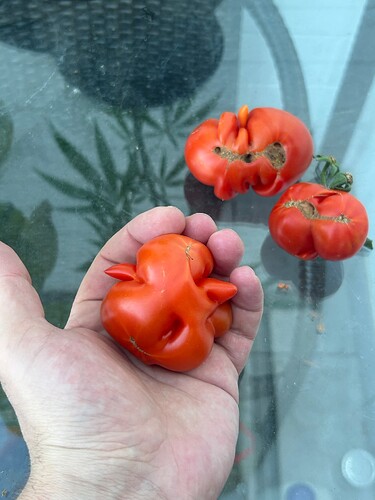 Growreport Bild 110