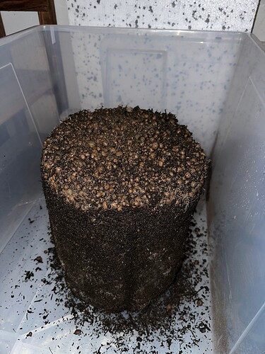 Growreport Bild 17