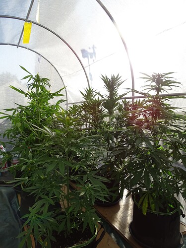 Growreport Bild 15