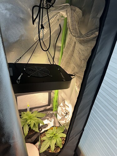 Growreport Bild 7