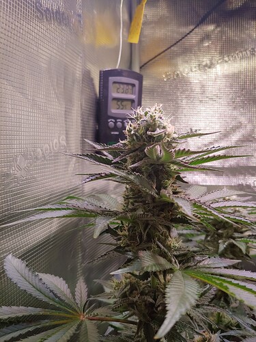 Growreport Bild 8