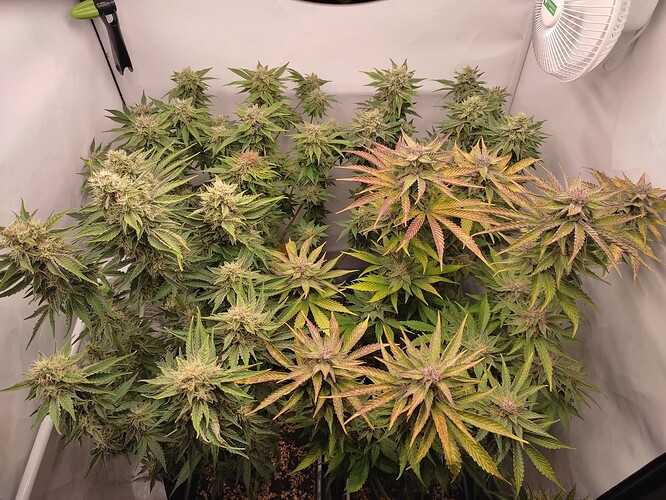 Growreport Bild 11