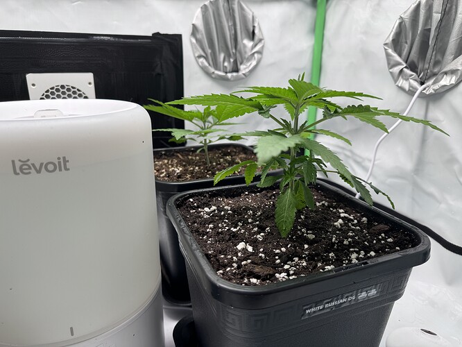 Growreport Bild 11