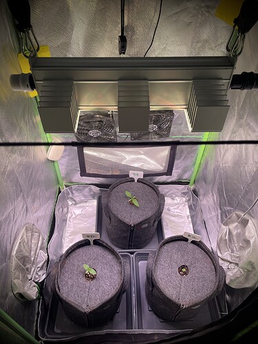 Growreport Bild 2