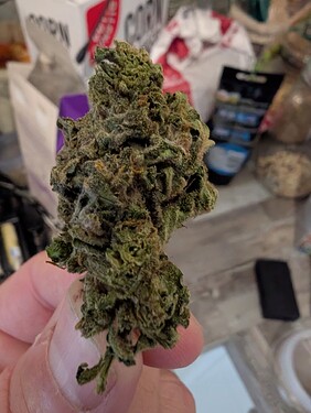 Growreport Bild 1