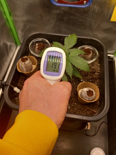 Growreport Bild 6