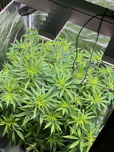 Growreport Bild 14