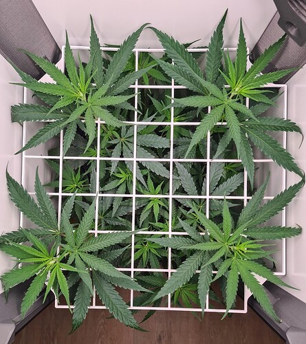 signal-2024-08-03-203603_004