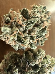 Growreport Bild 16