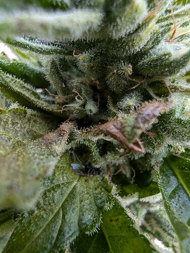 PXL_20240803_110608099