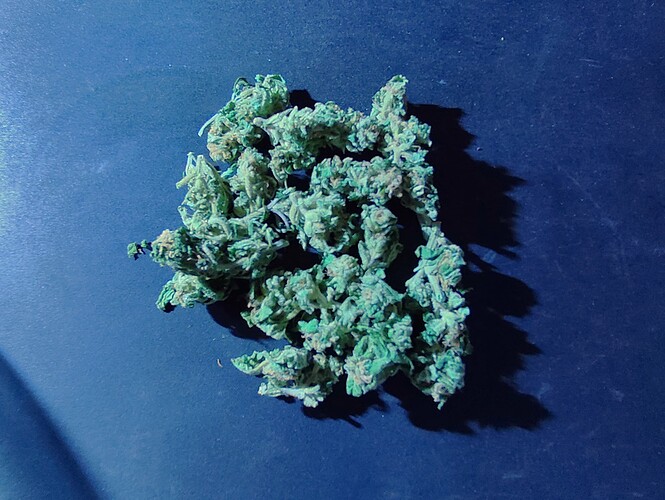 Growreport Bild 5