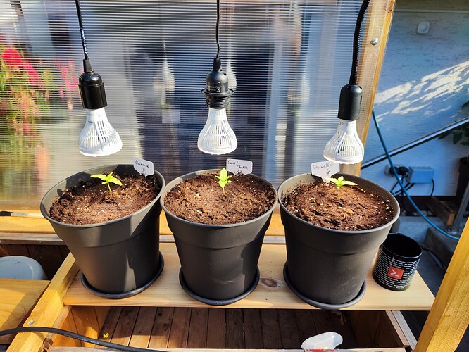 Growreport Bild 5