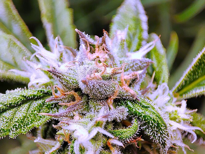 Growreport Bild 18