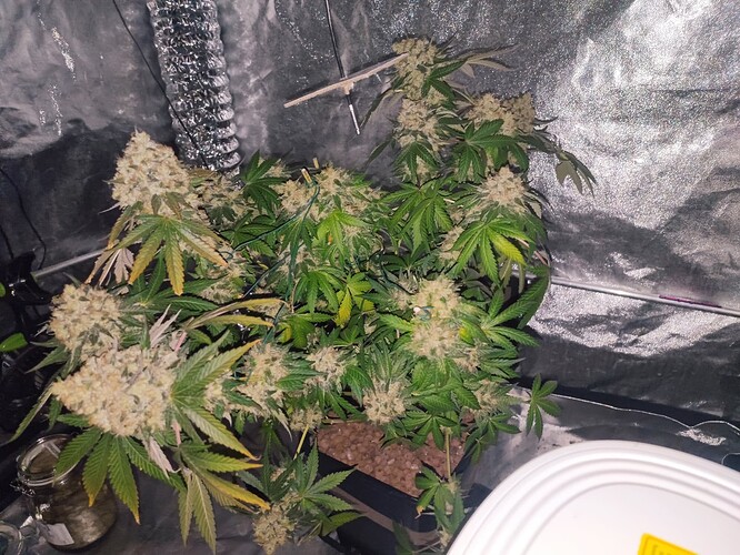 Growreport Bild 19