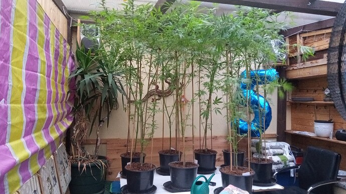 Growreport Bild 1