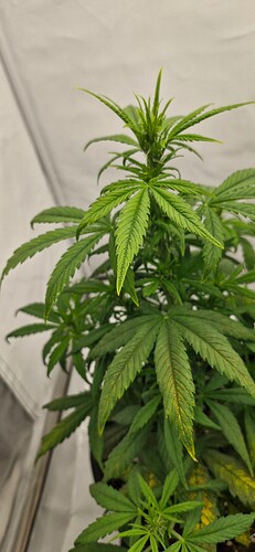 Growreport Bild 11