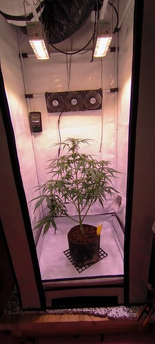 Growreport Bild 1