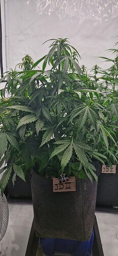 Growreport Bild 28