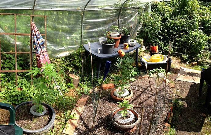 Growreport Bild 23