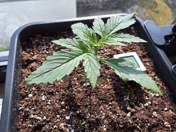 Growreport Bild 5